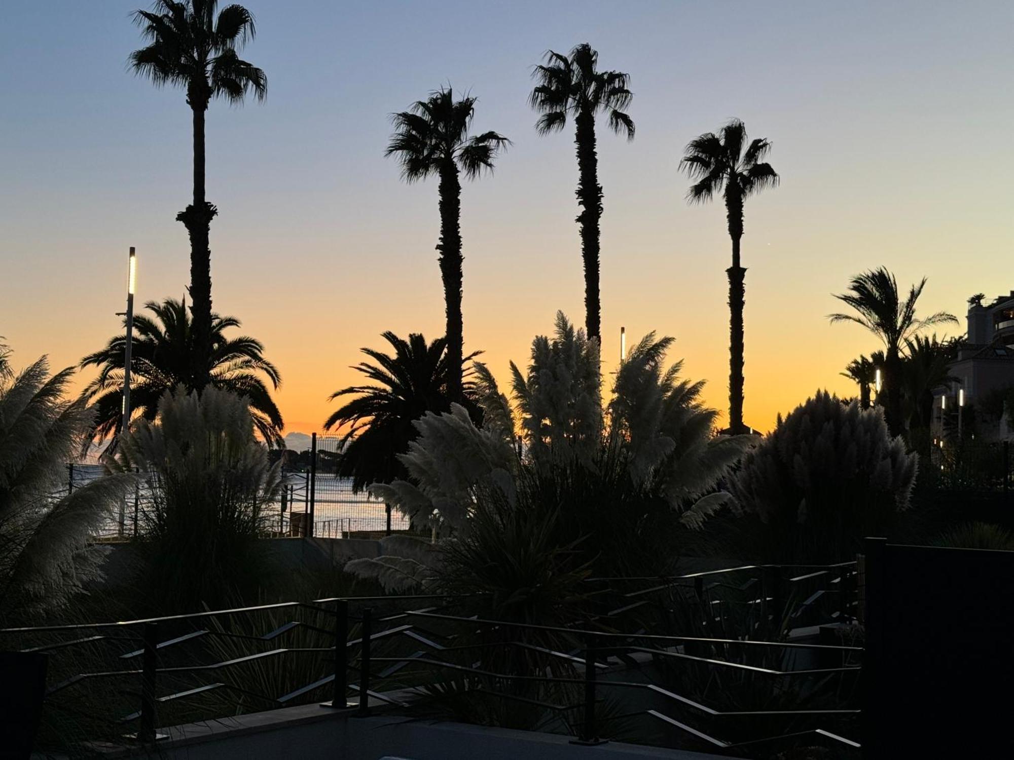 T3 Neuf Avec Terrasse Et Jardin Face A La Mer Bandol Bagian luar foto